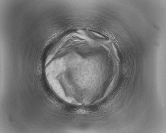 X0000115800303200912041539