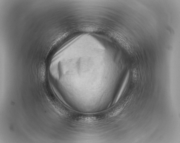 X0000115800304200912041539