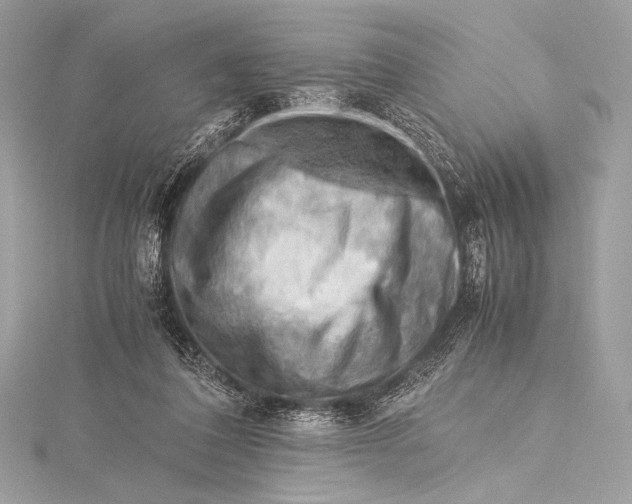 X0000115800308200912041539