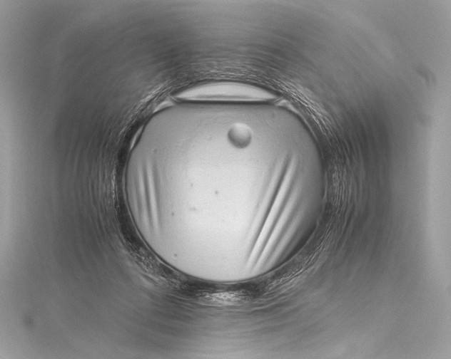 X0000115800312200912041539