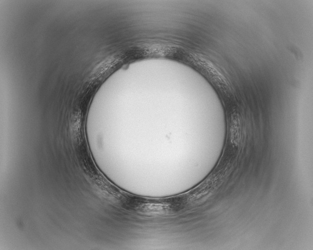 X0000115800314200912041539