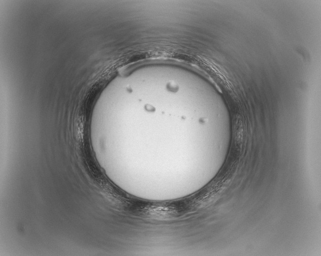 X0000115800315200912041539