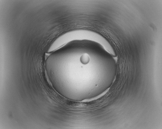 X0000115800316200912041539