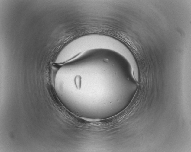 X0000115800317200912041539