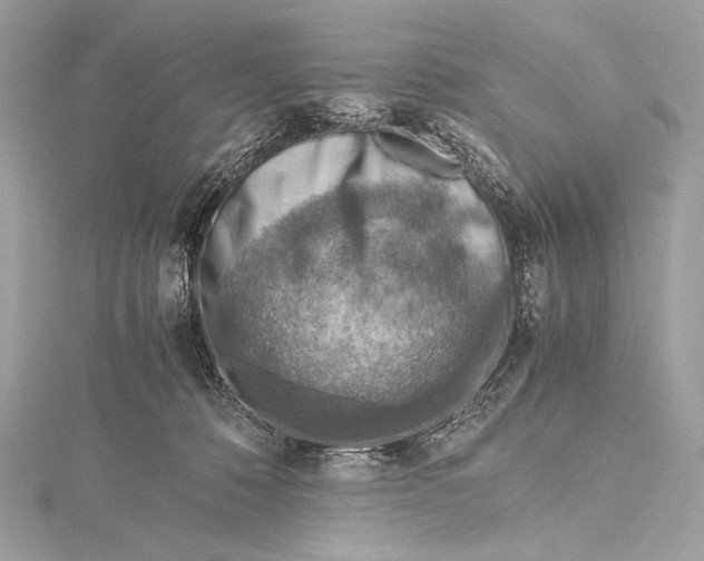 X0000115800320200912041539