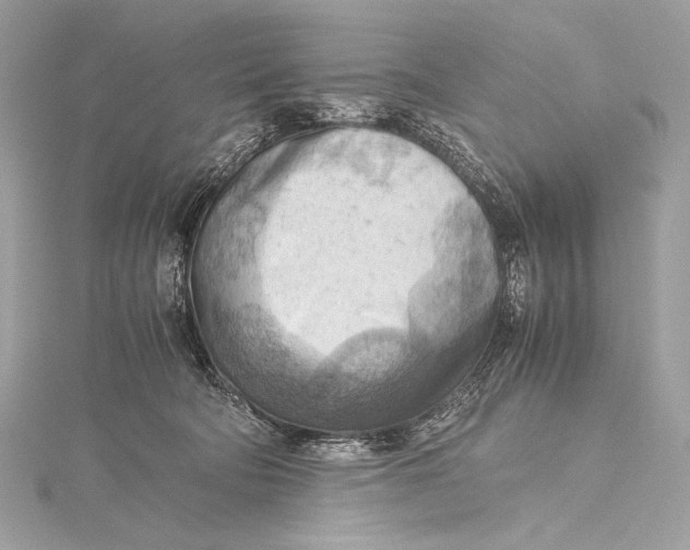 X0000115800322200912041539