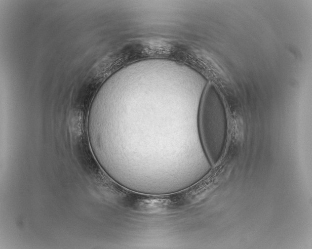 X0000115800323200912041539