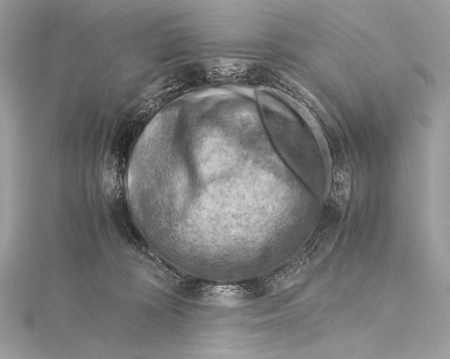 X0000115800324200912041539