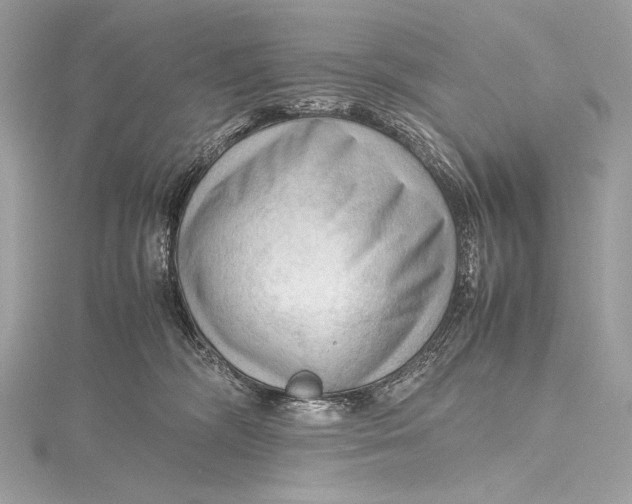 X0000115800326200912041539