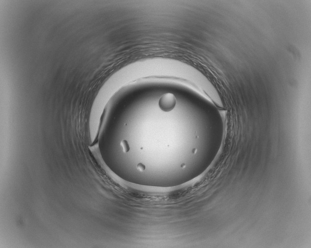 X0000115800328200912041539