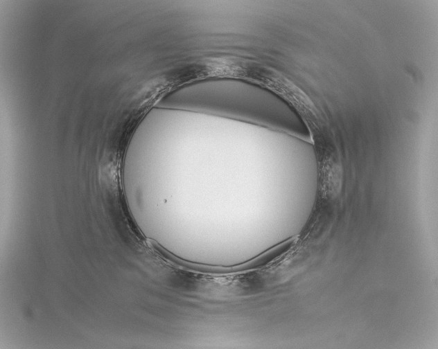 X0000115800329200912041539