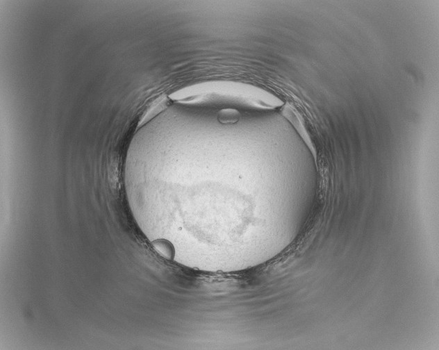 X0000115800331200912041538