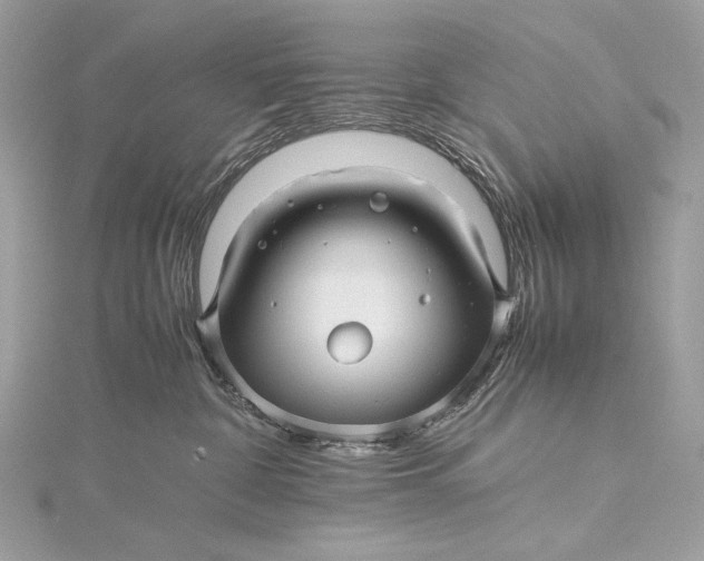 X0000115800332200912041538