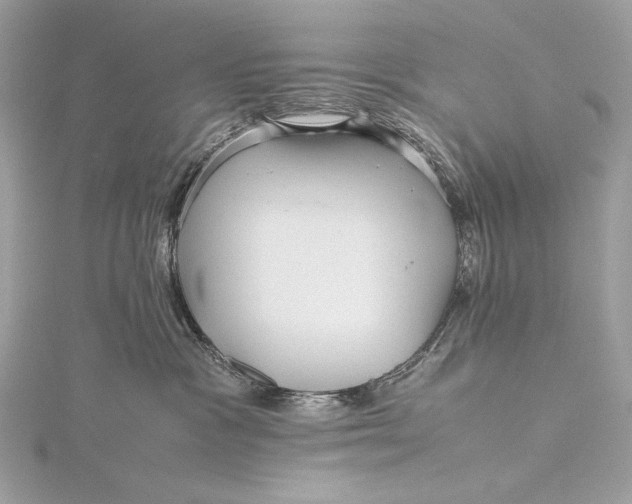 X0000115800333200912041538