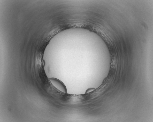 X0000115800334200912041538