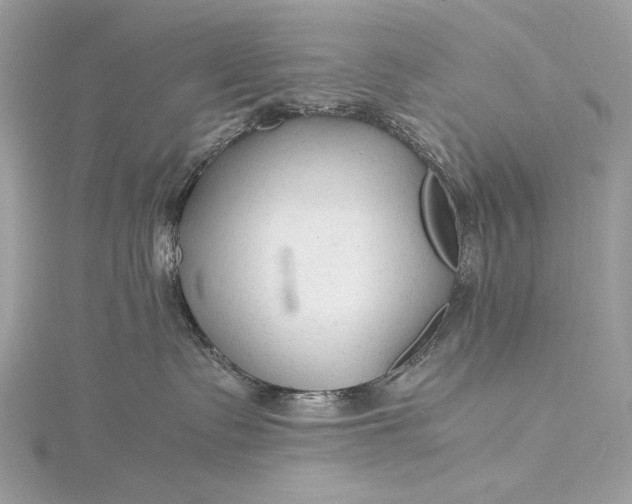 X0000115800335200912041538