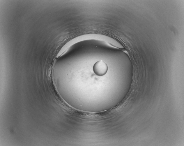 X0000115800336200912041538