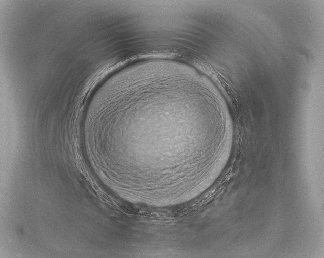 X0000115800337200912041538