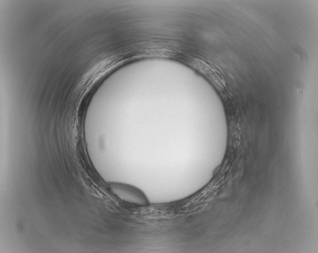 X0000115800338200912041538