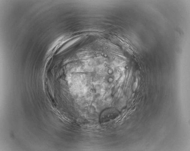 X0000115800339200912041538