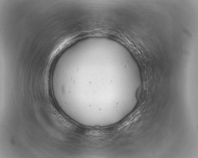 X0000115800341200912041538