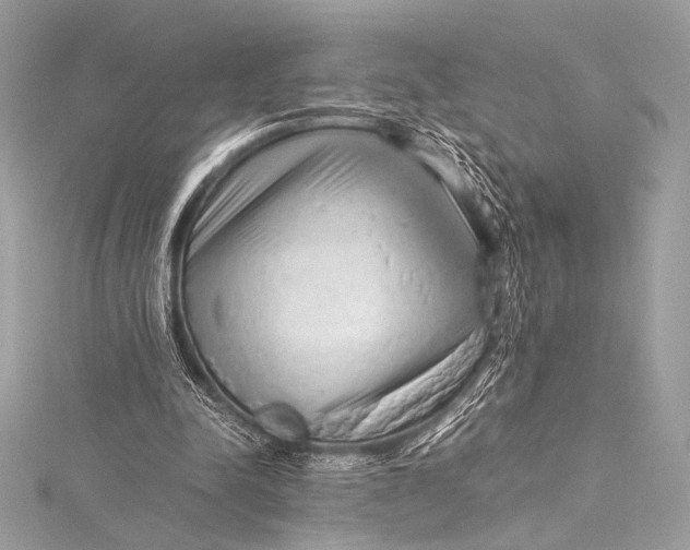 X0000115800342200912041538