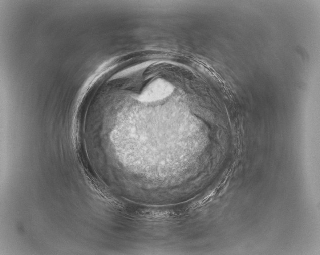 X0000115800343200912041538