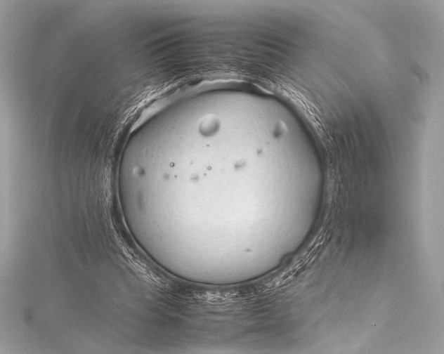 X0000115800345200912041538