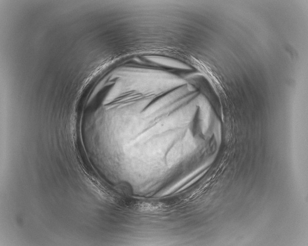 X0000115800346200912041538