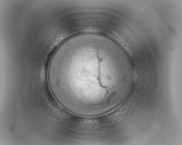 X0000115800347200912041538