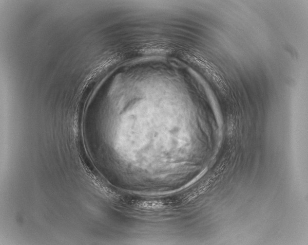 X0000115800353200912041538