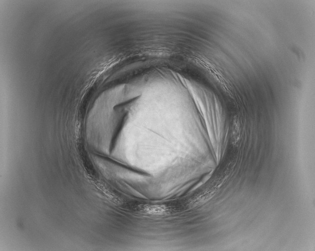 X0000115800355200912041538