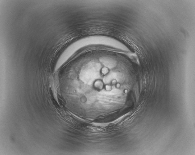 X0000115800359200912041538