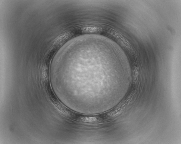 X0000115800361200912041538