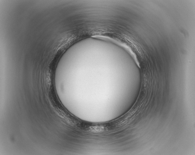 X0000115800362200912041538