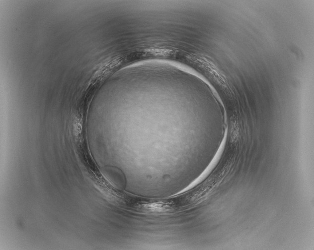 X0000115800365200912041538