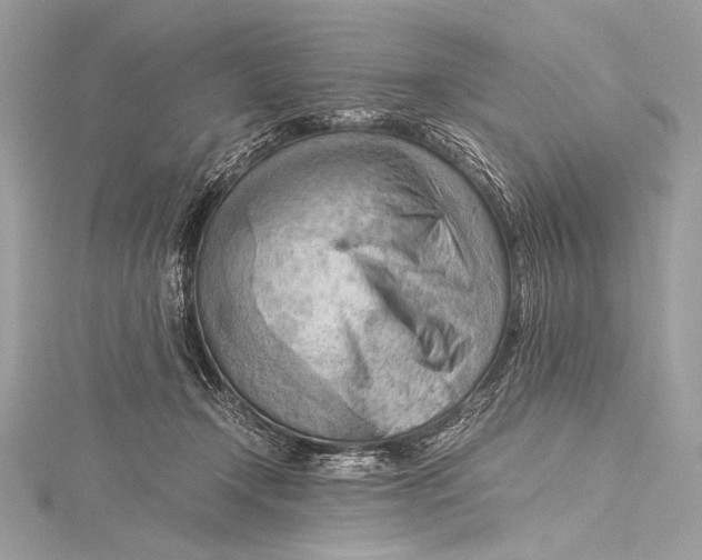 X0000115800366200912041538