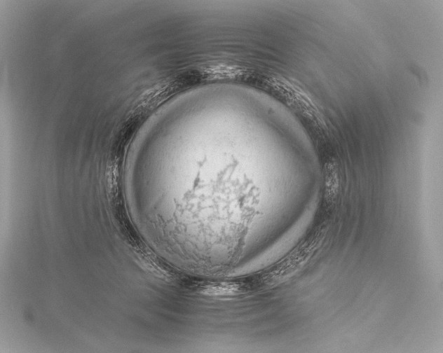 X0000115800369200912041538