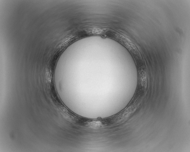 X0000115800374200912041538