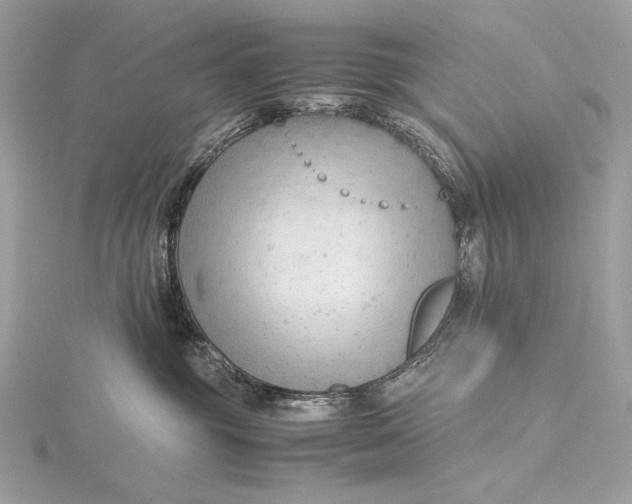 X0000115800381200912041538