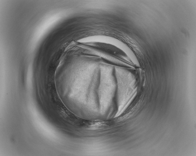 X0000115800382200912041538