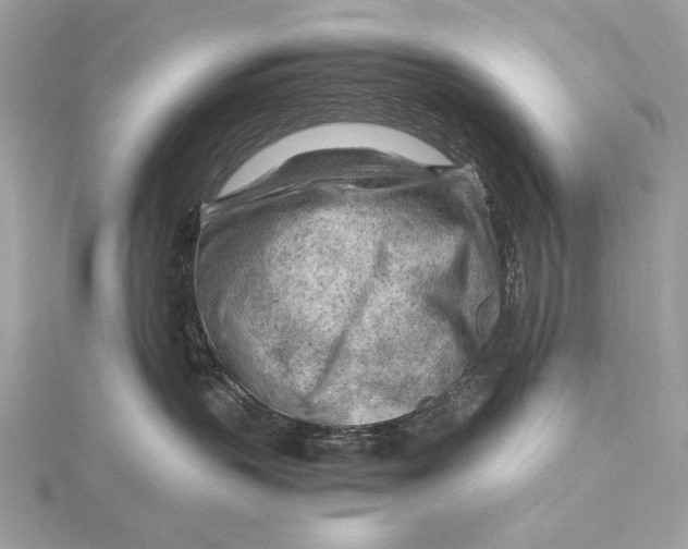 X0000115800383200912041538