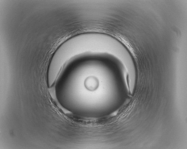 X0000115800385200912041538