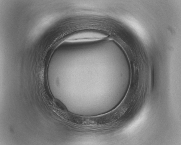 X0000115800387200912041538