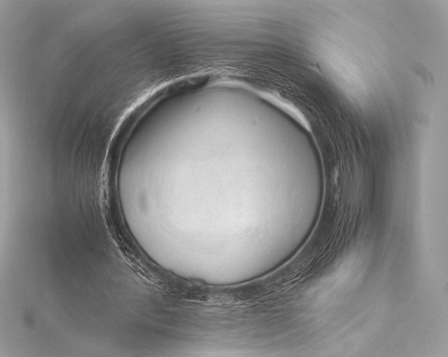 X0000115800388200912041538