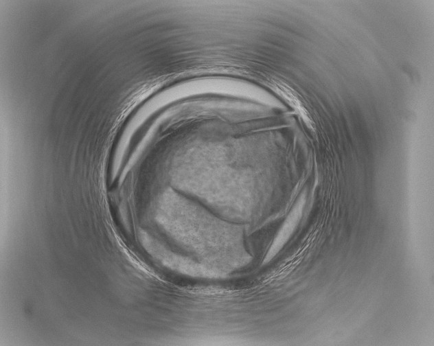 X0000115800389200912041538