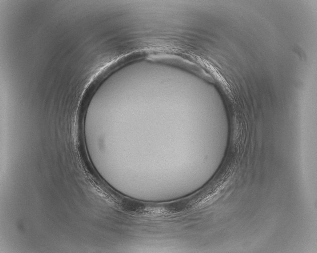 X0000115800391200912041538