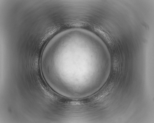 X0000115800394200912041538