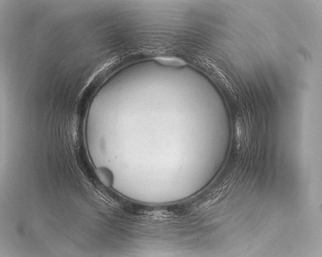 X0000115800396200912041538