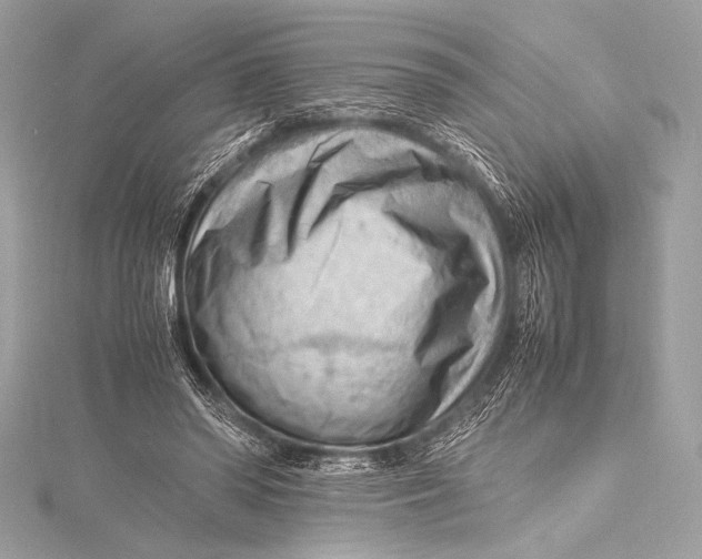 X0000115800398200912041538